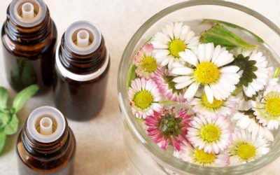 Essential Oils and Gut Health