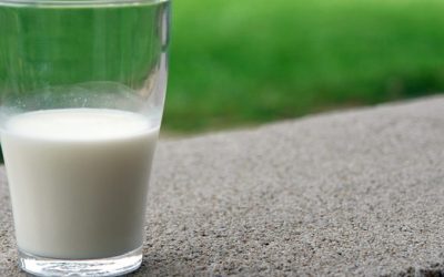 How Probiotics Can Help Your Immune System