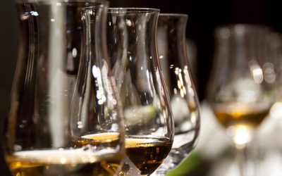 The Effect of Alcohol on Your Immune System