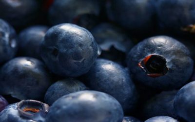 Foods That Can Help Boost Your Immune System