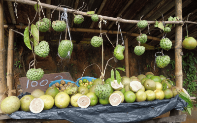 Try New Veggies and Fruit to Boost Healthy Gut Bacteria