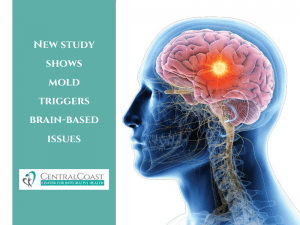 New Study Shows Mold Triggers Brain-Based Issues