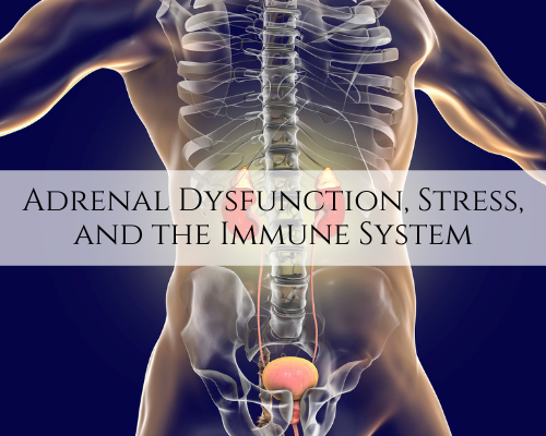 Adrenal Dysfunction, Stress, and the Immune System